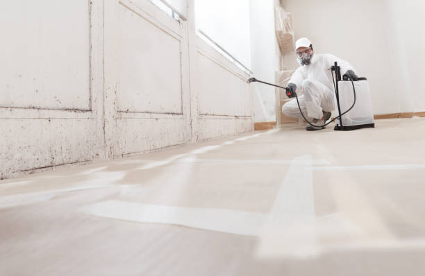 24/7 Emergency Attic Mold Removal experts in Spring City, PA